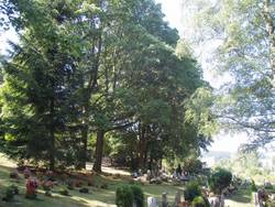 Ansicht Friedhof Bermsgrün (Foto: Stadtverwaltung)