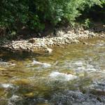 Pöhlwasser 2. Bauabschnitt vor Baumaßnahme (Foto: Stadtverwaltung)