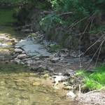 Pöhlwasser 6. Bauabschnitt vor Baumaßnahme (Foto: Stadtverwaltung)