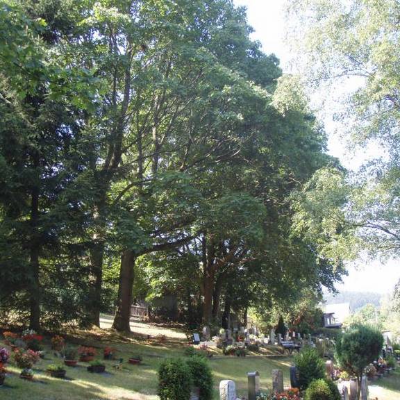 Ansicht Friedhof Bermsgrün (Foto: Stadtverwaltung)