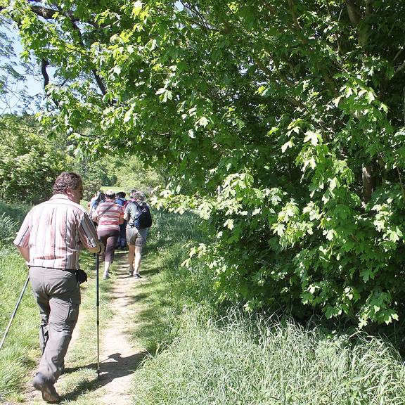 Wanderung am Baumannsgraben